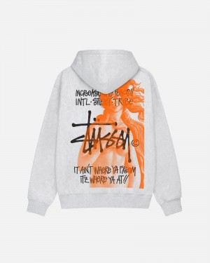 Stüssy Ist Venus Zip Hoodie Long Sleeve Sweatshirt Ash Heather | LMC-294368