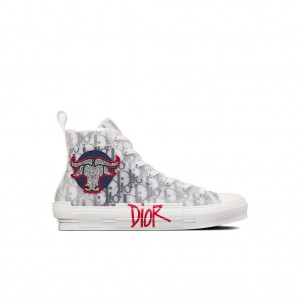 Stüssy Stussy x Dior B23 SHAWN Ox Head Embroidery Patch High Top Trainers Shoes White | RWH-276350