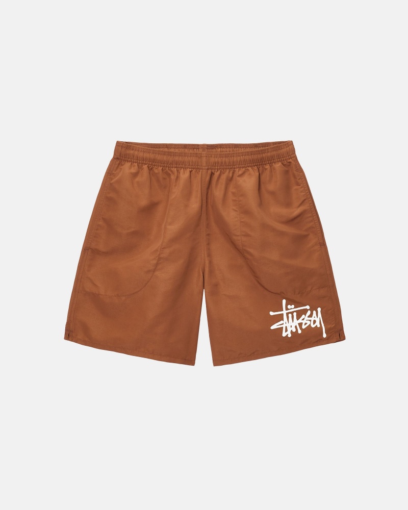 Stüssy Big Basic Water Short Swim Bottom Coffee | OMR-765089