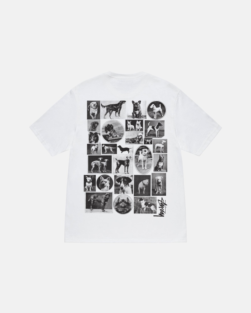 Stüssy Dog Collage Tee Short Sleeve T-Shirt White | BXO-059436